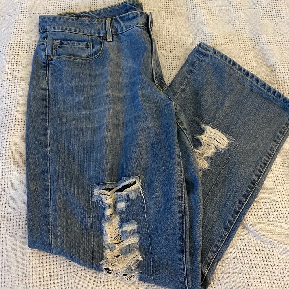 Lane Bryant Seven7 Premium Jean